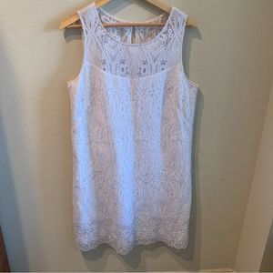 NWT White House Black Market Lace Dress
